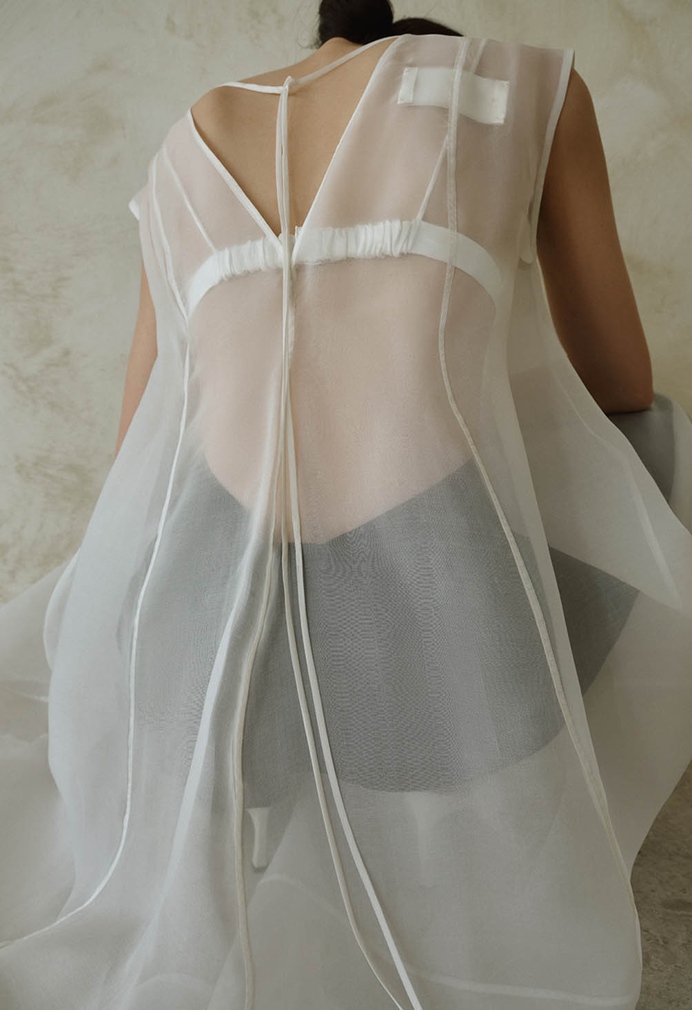 Silk-Organza Dress